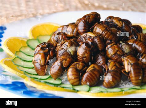 are there cicadas in china